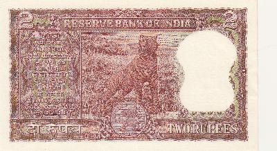 Beschrijving achterzijde: TIGER